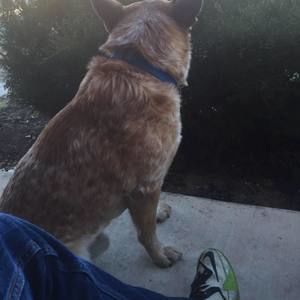 Meet your Posher, Garrett